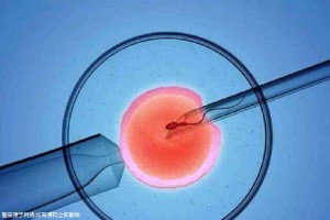 林医生